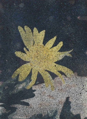 Flores #1, 2023, óleo sobre papel, 28 x 38 cm