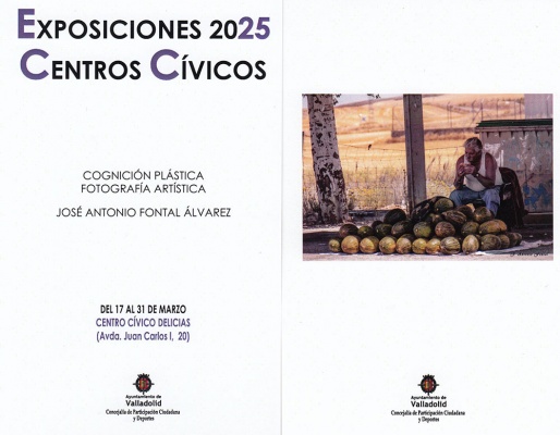 Cognición plástica J. Antonio Fontal Álvarez