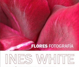 Inés White, Flores