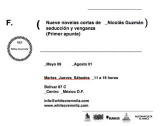 Nicolás Guzmán, Nueve novelas cortas de seducción y venganza (Primer apunte)