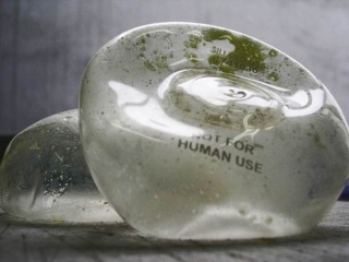 Sonia Guggisberg, Série: Not for Human use