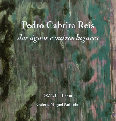 Pedro Cabrita Reis. das águas e outro lugares