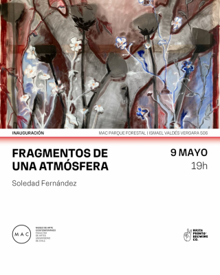 Soledad Fernández. Fragmentos de una atmósfera