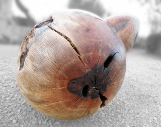Reconstrucció Petit Món