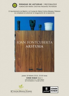 Joan Fontcuberta, Arstusia