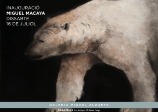 Miguel Macaya