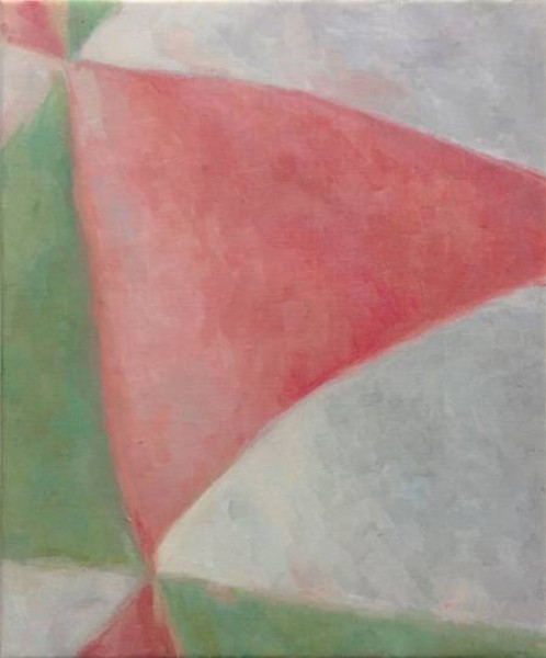 Skin 9. 2015 óleo sobre lienzo. 55 x 46 cm