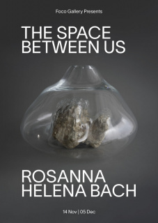 Rosanna Helena Back. The Space Between Us