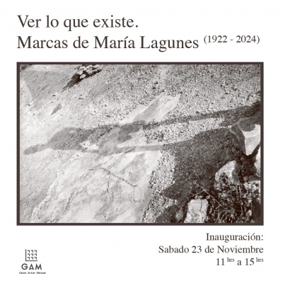 Ver lo que existe. Marcas de María Lagunes (1922 - 2024)