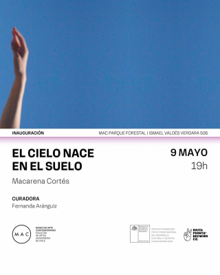 El cielo nace en el suelo