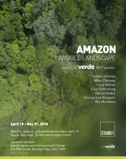 Amazon. Invisible Landscape