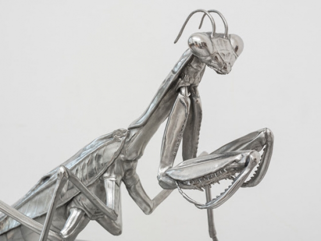 Oliver Laric, Scales of Anthropomorphism (Praying Mantis) / Escalas de Antropomorfismo (Mantis Religiosa), 2024 (detalle) — Imagen cortesía de la Galeria Pedro Cera