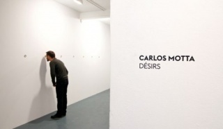 Carlos Motta