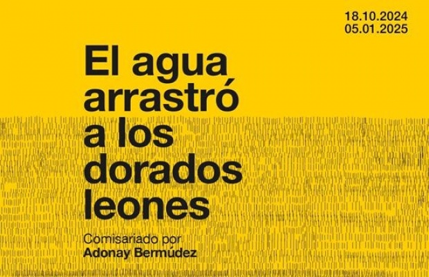 El agua arrastró a los dorados leones