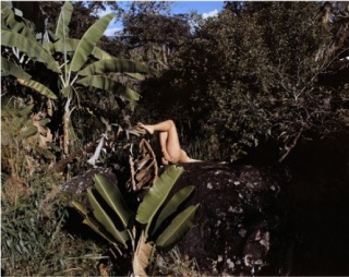 Karen Paulina Biswell, Erotic album I: Bananeras 1, 2014