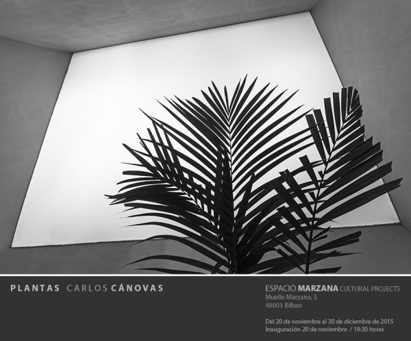 Plantas
