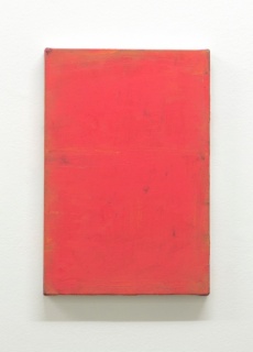 Sergio Sister, Vermelho da china, 2017, óleo sobre tela, 30 x 20 cm