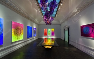 Dale Chihuly - Lumiere at Halcyon Gallery London
