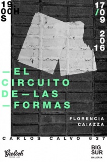 Florencia Caiazza, El circuito de las formas