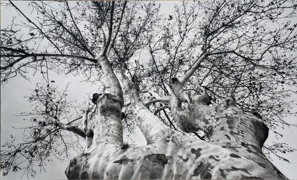 Chiara Albertoni, Canciones de invierno