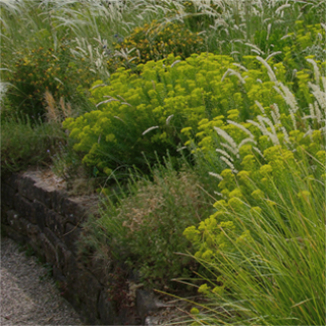 Diseño y arte del jardín, Post-grado, Diseño, nov 2021 | ARTEINFORMADO