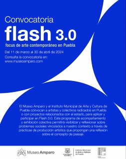 Flash 3.0. Focus de Arte Contemporáneo en Puebla