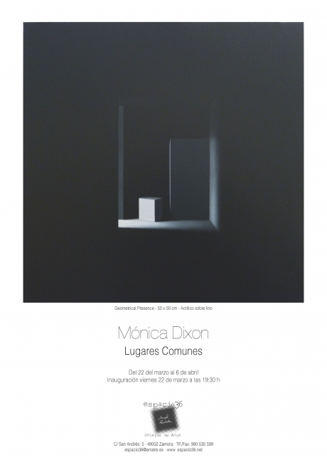 Mónica Dixon. Lugares comunes