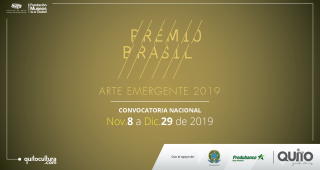 Premio Brasil Arte Emergente 2019