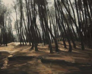 Alberto Pina, El bosque viejo o la música del viento Matteo