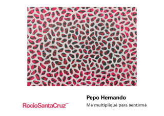 Pepo Hernando. Me multipliqué para sentirme. RocioSantaCruz. 2020