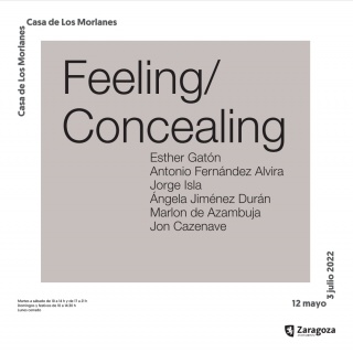 Feeling/Concealing