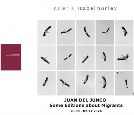 Some Editions about Migrants