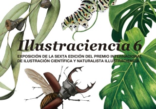 Illustraciencia 6