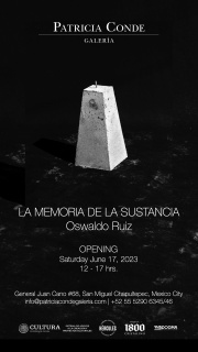 Oswaldo Ruiz. La memoria de la sustancia
