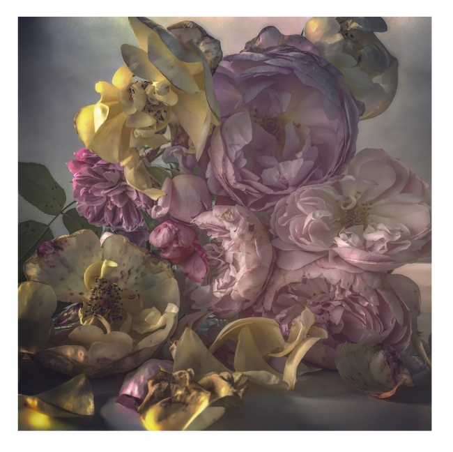 Nick Knight, Saturday 10th October, 2015 © Nick Knight — Imagen cortesía de la Fundación Barrié