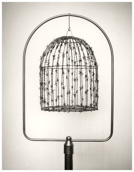 Chema Madoz, Jaula Alambre