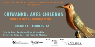 Chiwanku: aves chilenas