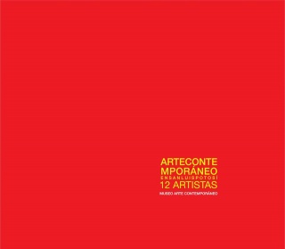 Arte Contemporáneo en San Luis Potosí. 12 artistas