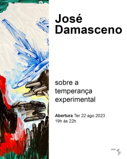 José Damasceno. Sobre a temperança experimental