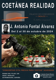 Coetánea realidad