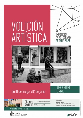 Volición artística