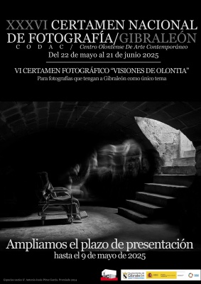 Cartel anunciador del Certamen