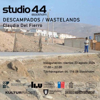 Descampados / Wastelands