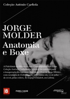 Jorge Molder, Anatomia e Boxe