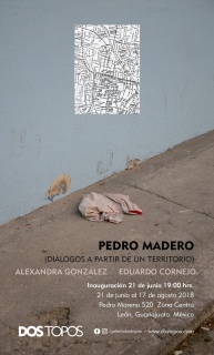 Pedro Madero (Diálogos a partir de un Territorio)