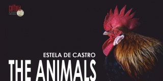 Estela de Castro. The animals