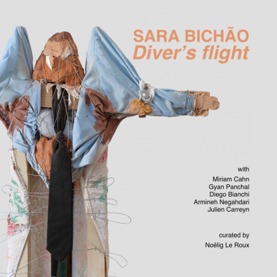 Sara Bichão. Diver's Flight