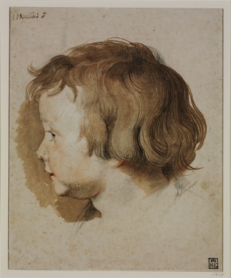 Peter Paul Rubens, Retrato de perfil del hijo del artista, Albert Rubens, ca. 1618-19. Sanguina, clarión negro, pluma, tinta parda, pincel y aguada parda sobre papel, 24,6 x 20,3 cm. MFA CPD; N~ inv.: 1745. Adquirida a la Colección Esterházy, 1871 © 2025 Museo de Bellas Artes, Budapest