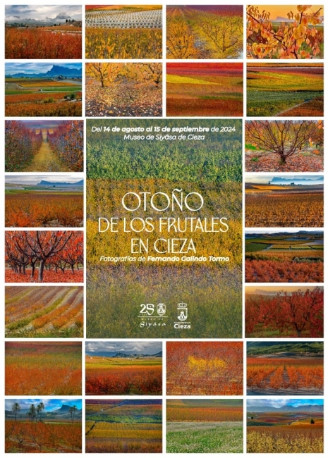 Fernando Galindo Tormo. Otoño de los frutales en Cieza