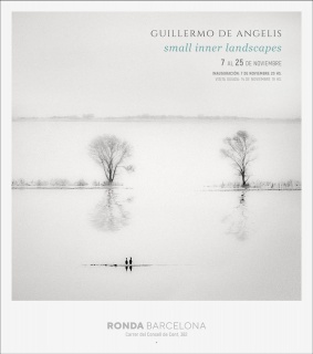 Guillermo De Angelis. Small inner landscapes